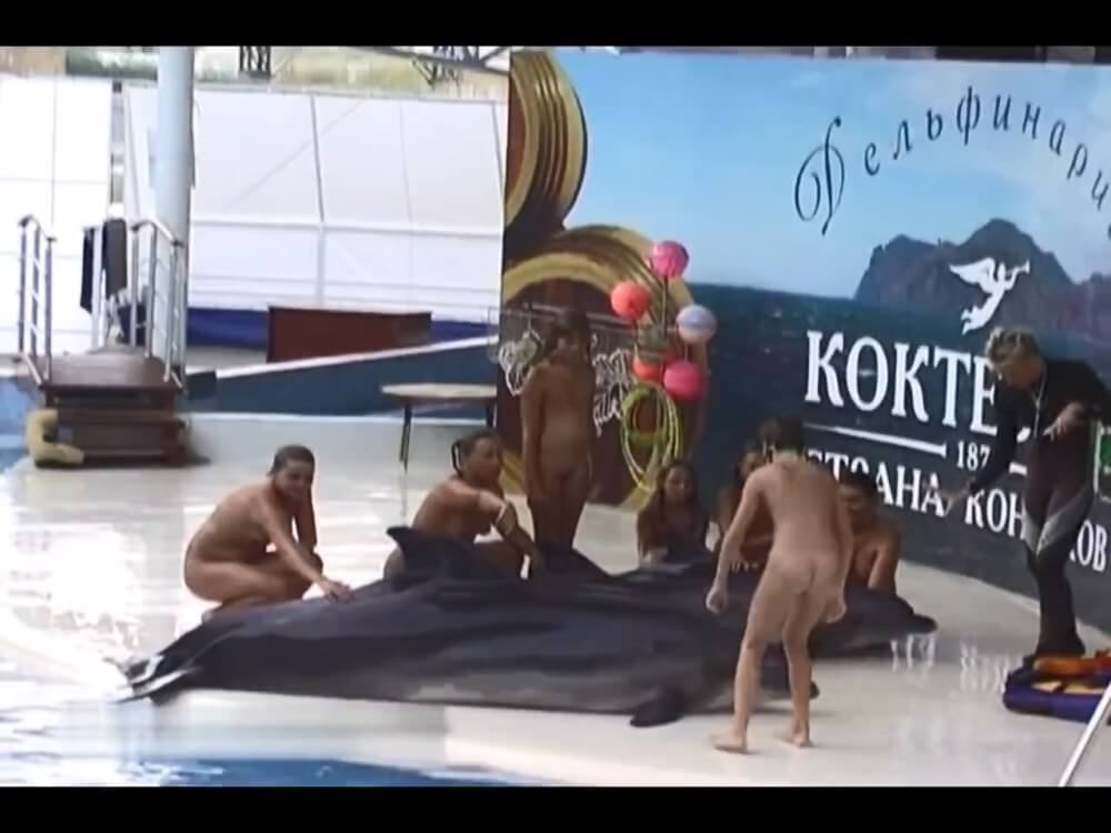 Relaxing at the dolphinarium - Naturist Club: Exclusive Content